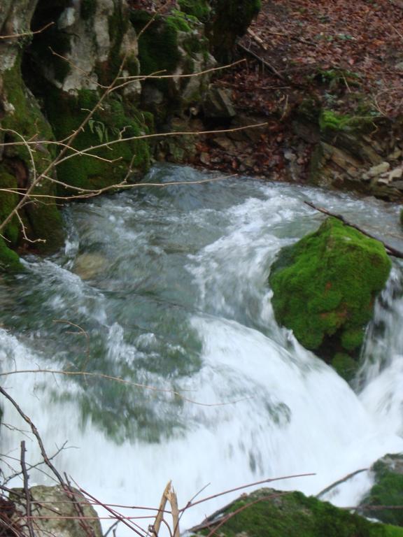 Apartmán Prenocisca Jezero Gorenje Jezero Exteriér fotografie
