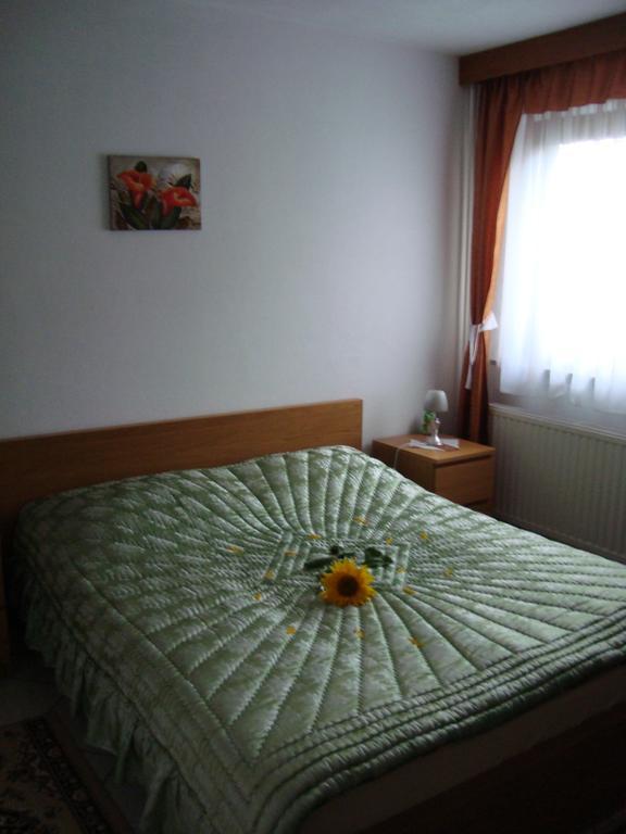 Apartmán Prenocisca Jezero Gorenje Jezero Pokoj fotografie